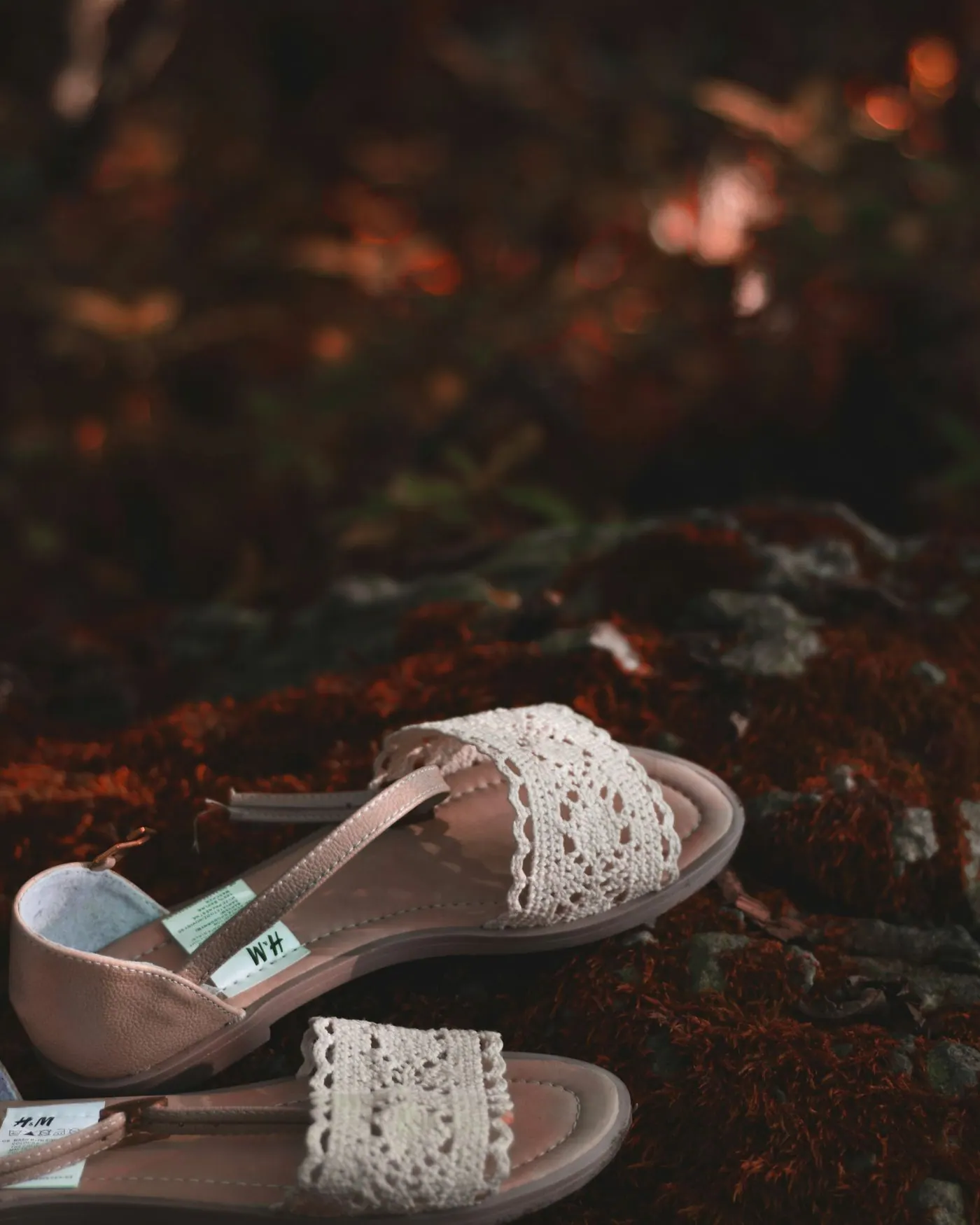 Cadence, Fotografía 2